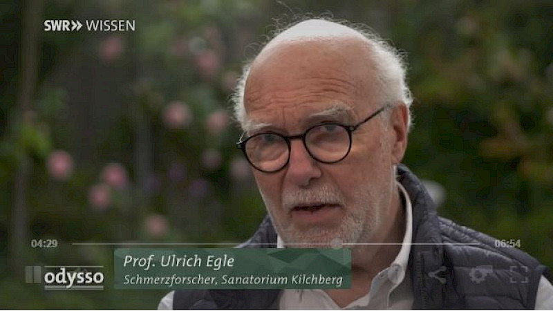 Stress als Kind - krank als Erwachsener?